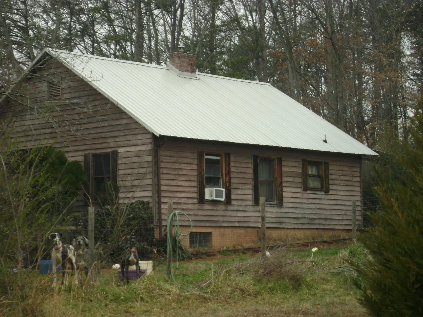 White metal roof on an old wood sided farmhouse, from a Asphalt Shingle Roof Repair job in Molena